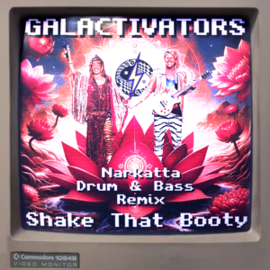 Galactivators - Shake That Booty (Narkatta Drum n Bass Remix)