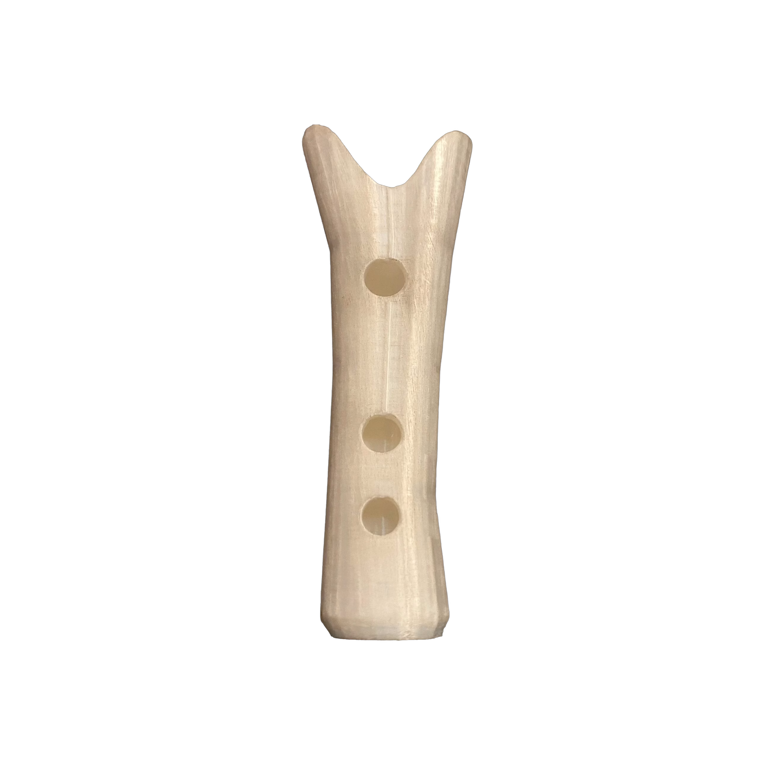 Precise 3D Printed Replica of the Divje Babe Flute